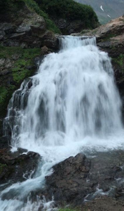 Фото организации