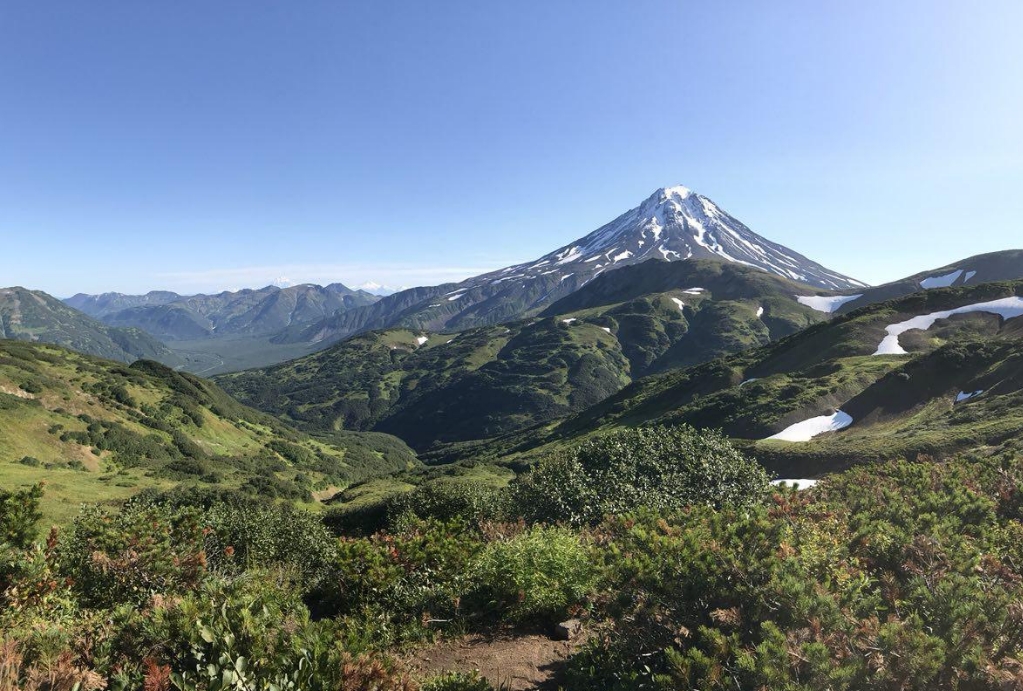 Фото организации