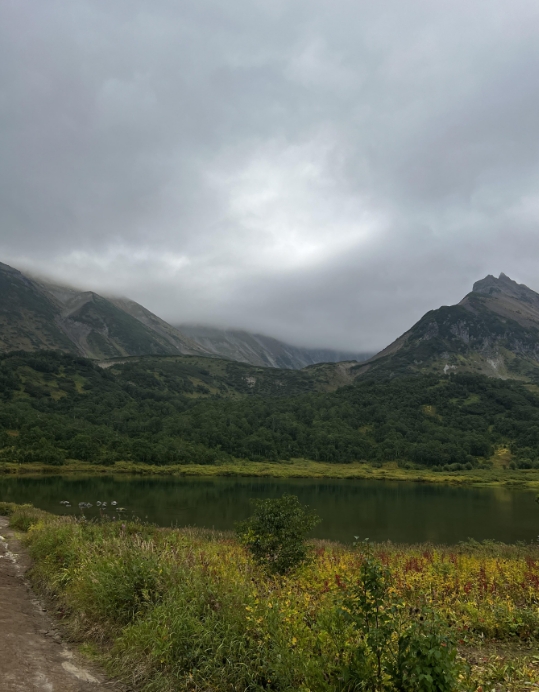 Фото организации