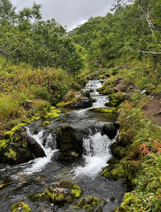 Фото организации