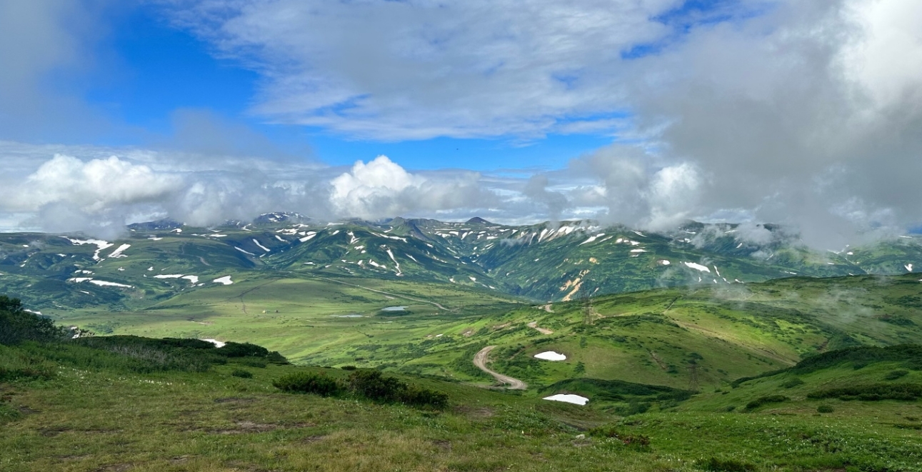 Фото организации