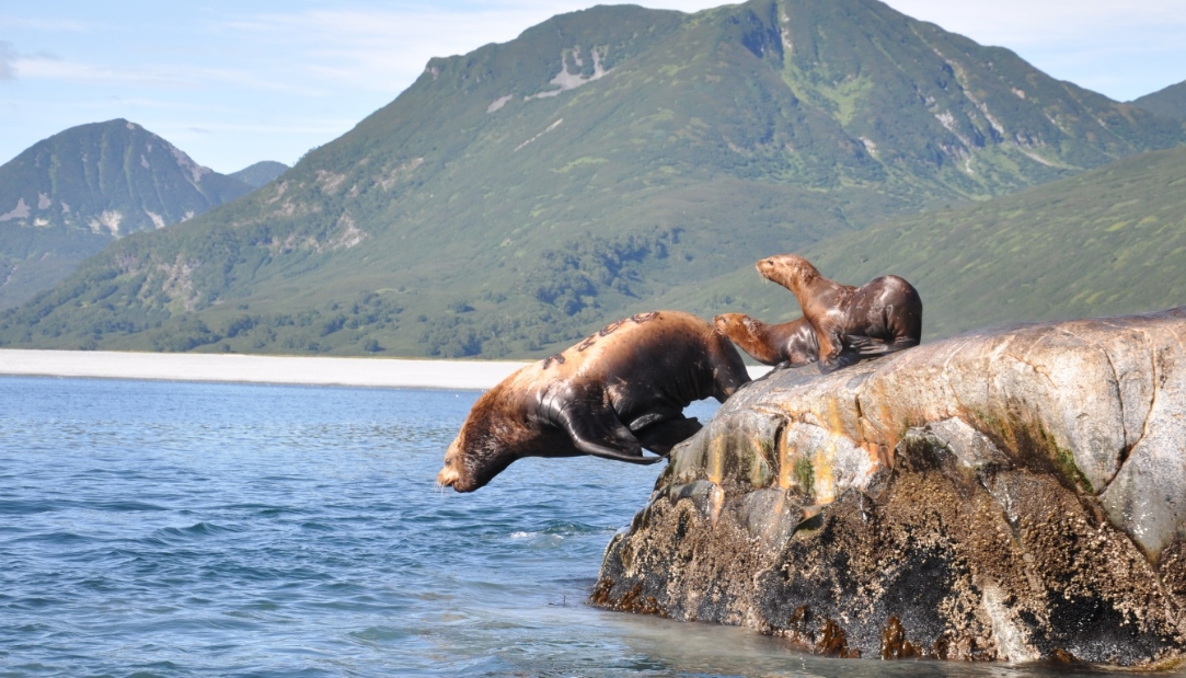 Фото организации