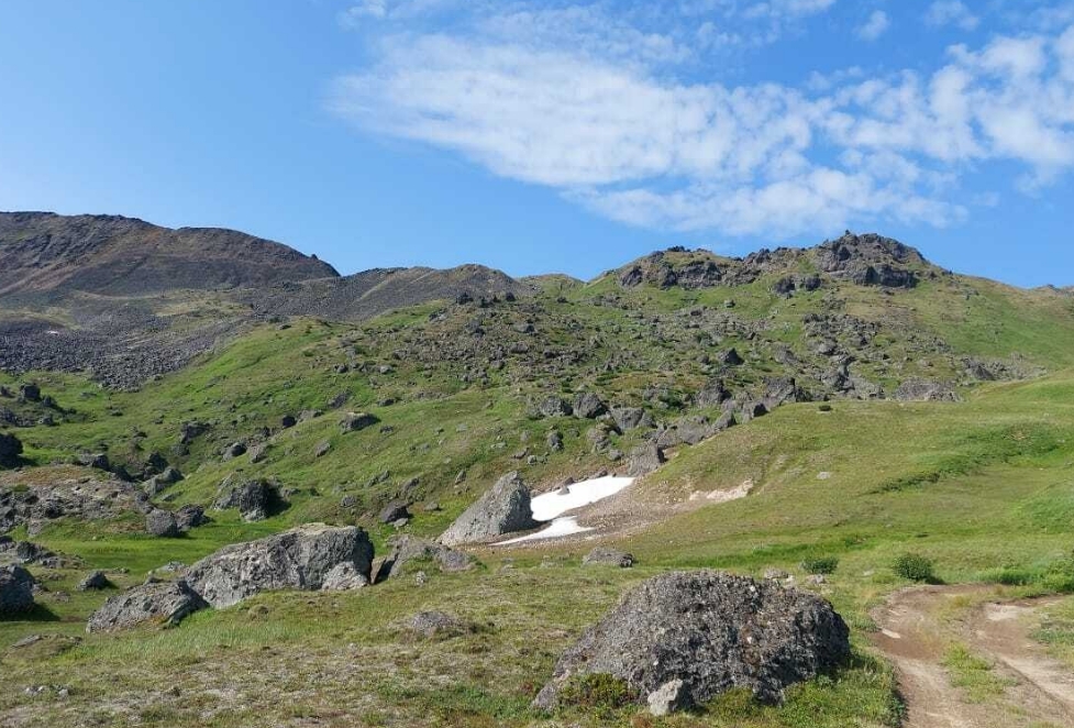 Фото организации