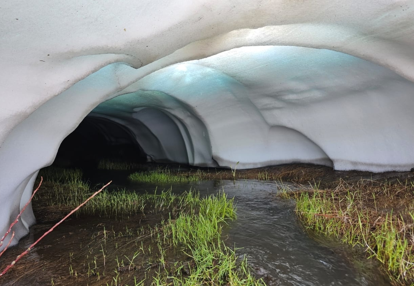 Фото организации