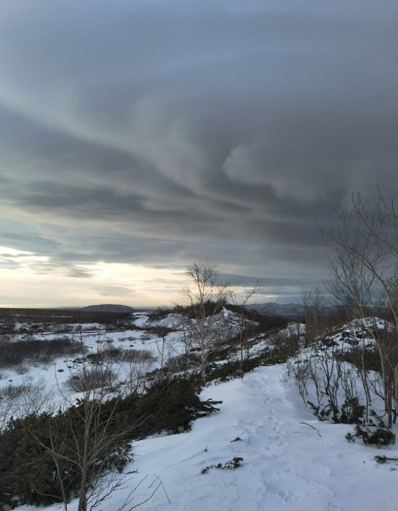 Фото организации