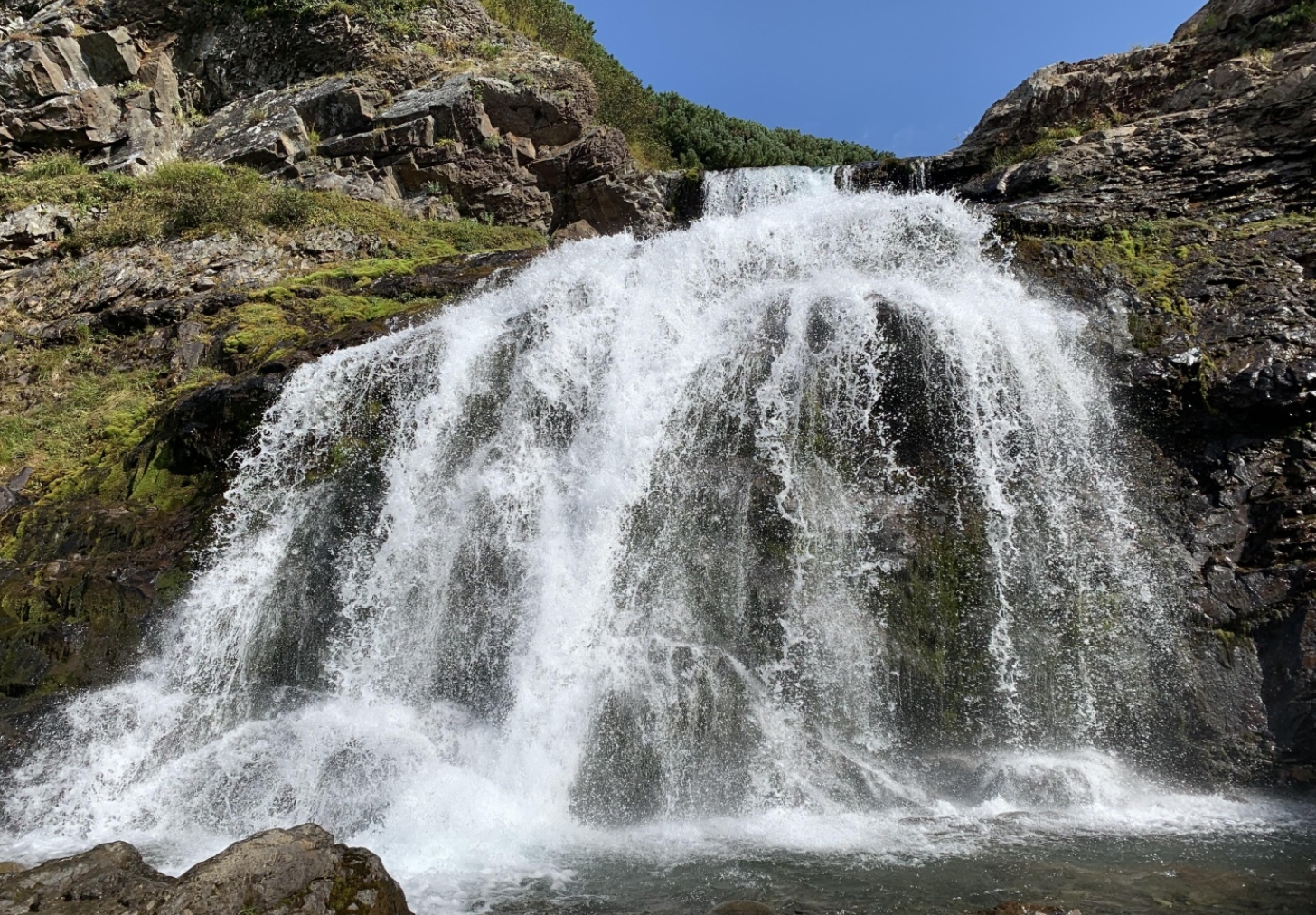 Фото организации
