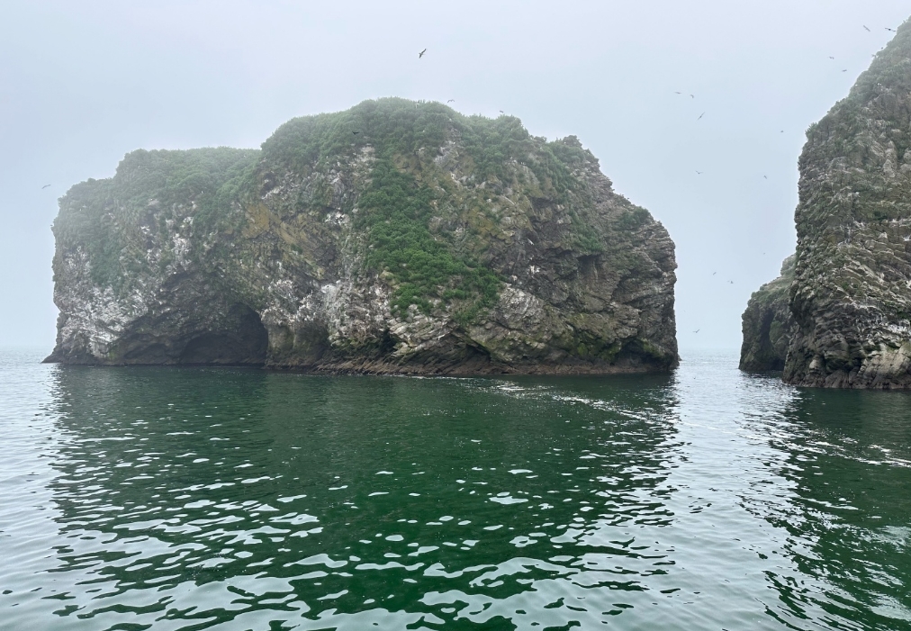 Фото организации