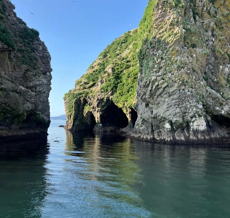 Фото организации