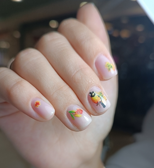 Фото организации