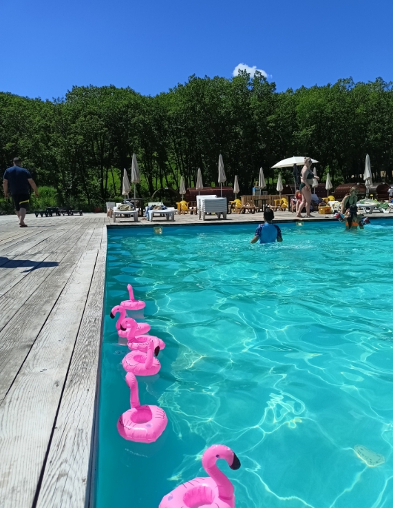 Фото организации