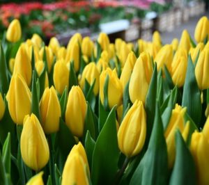 Фото организации