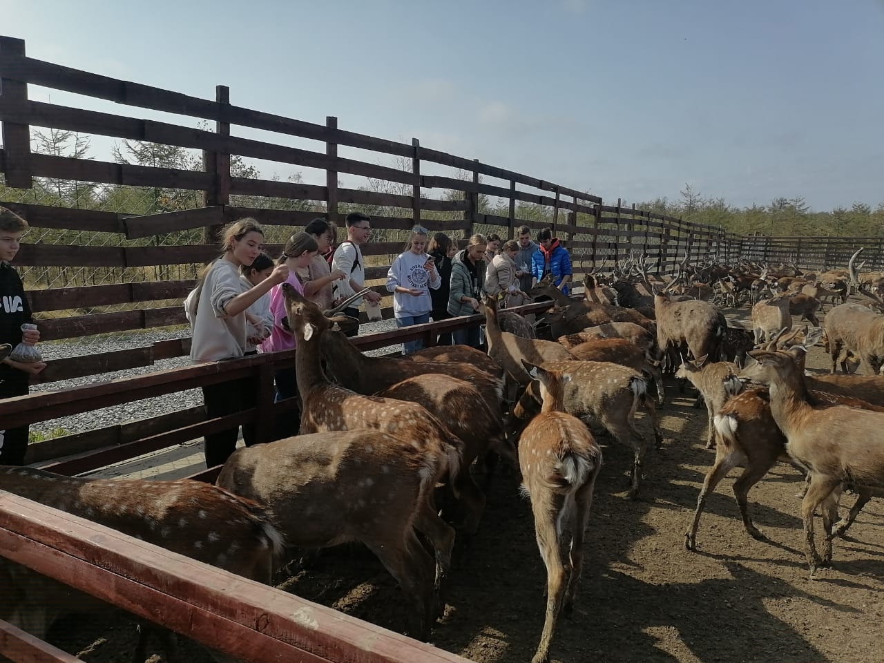 Фото организации