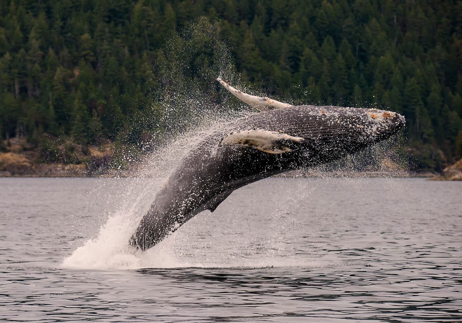 Фото организации