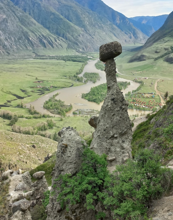 Фото организации