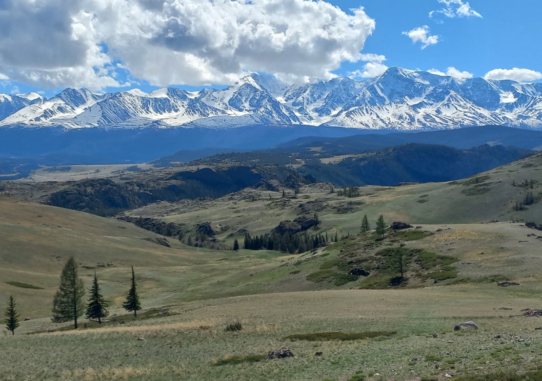 Фото организации